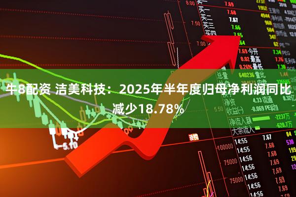牛8配资 洁美科技：2025年半年度归母净利润同比减少18.78%