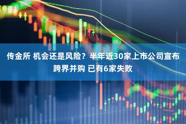 传金所 机会还是风险？半年近30家上市公司宣布跨界并购 已有6家失败